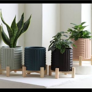 4 piece Modern Ceramic Planters & stands- Target home decor, indoor plants